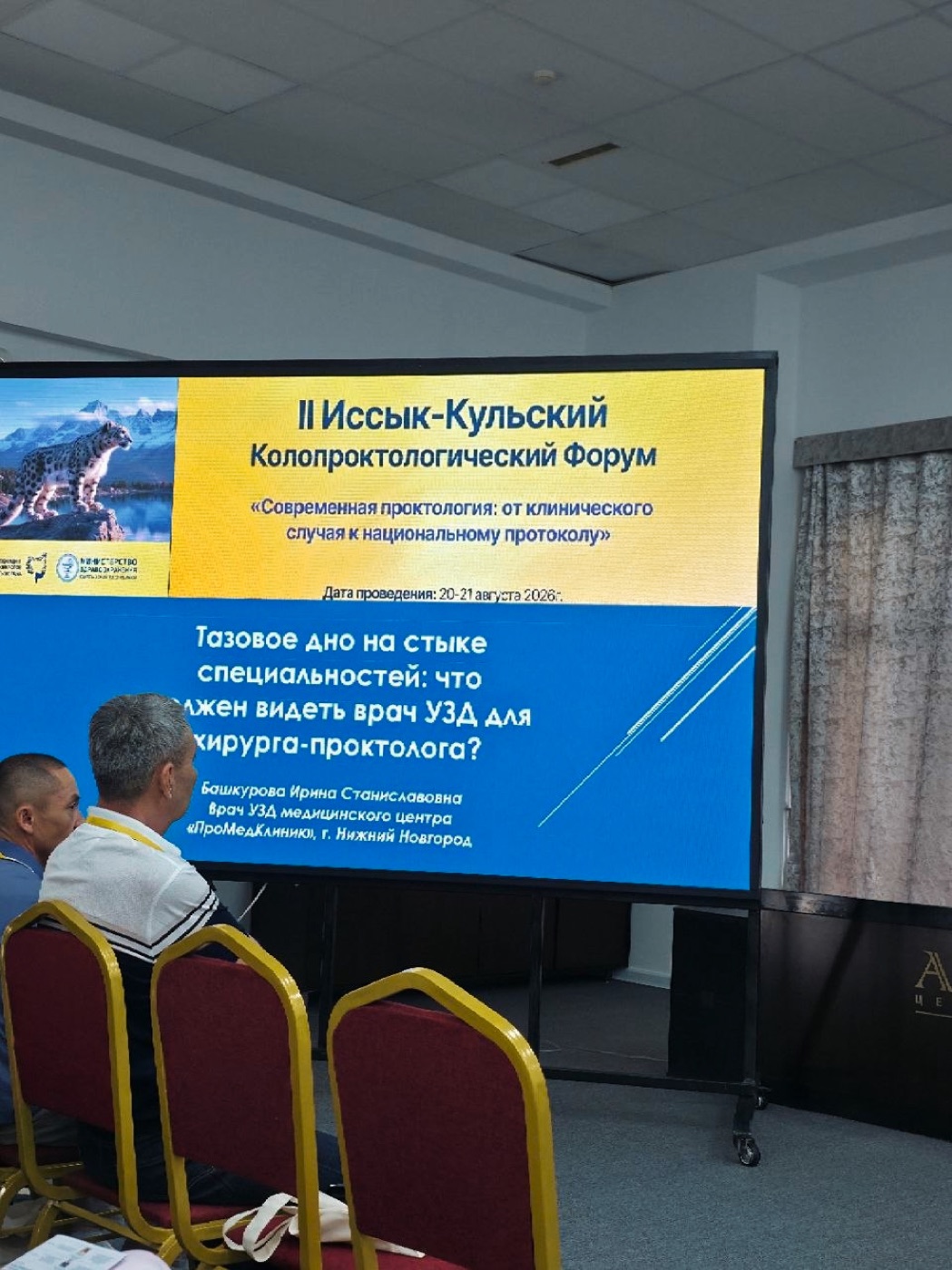 Экран доклада Ирины Башкуровой